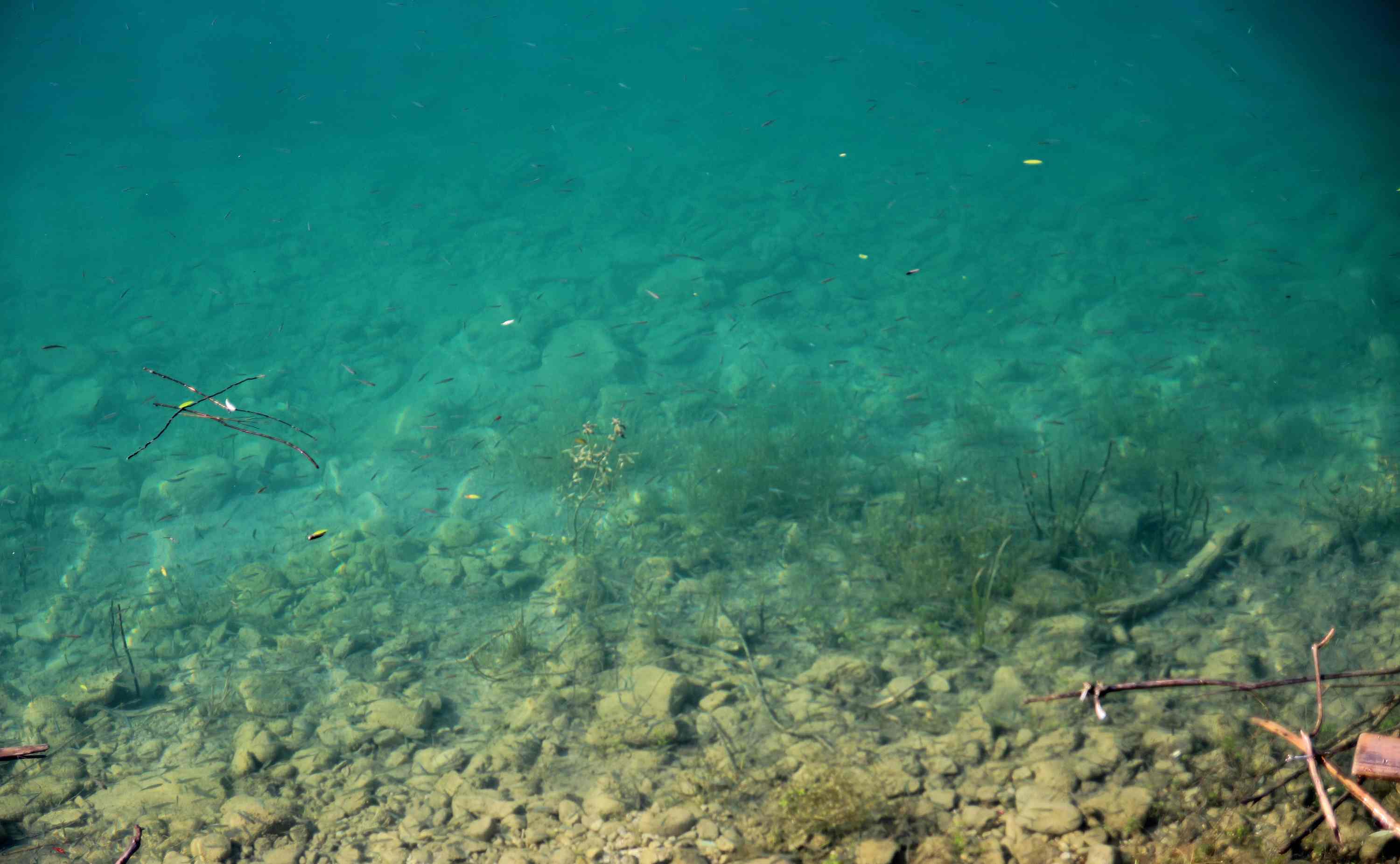 Lago di Barcis 2026 07 18 15