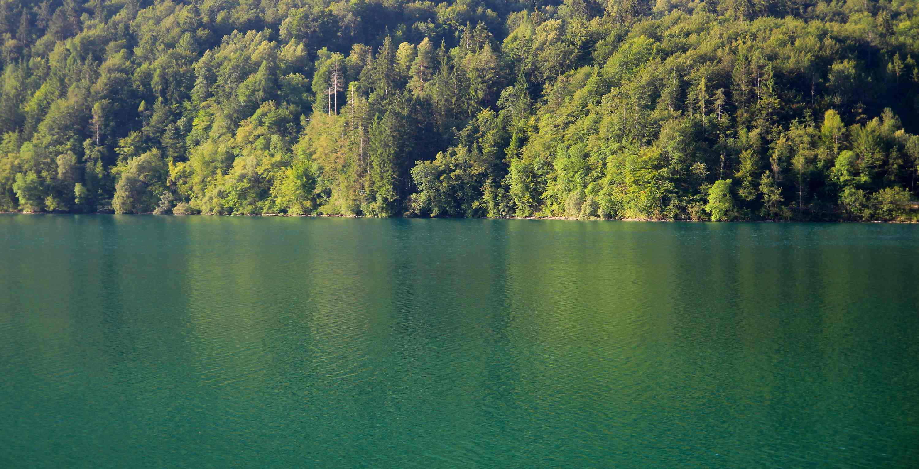 Lago di Barcis 2026 07 18 6