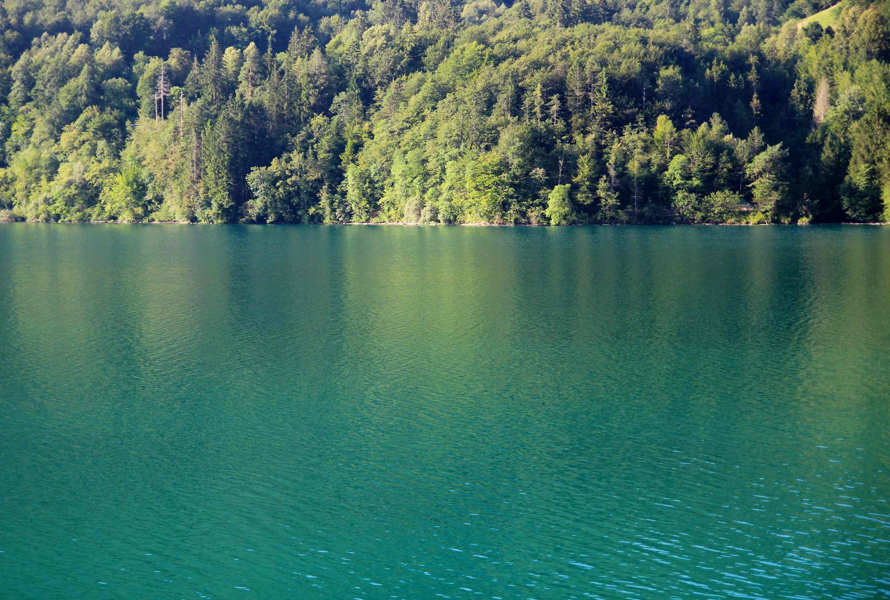 Lago di Barcis 2026 07 18 9