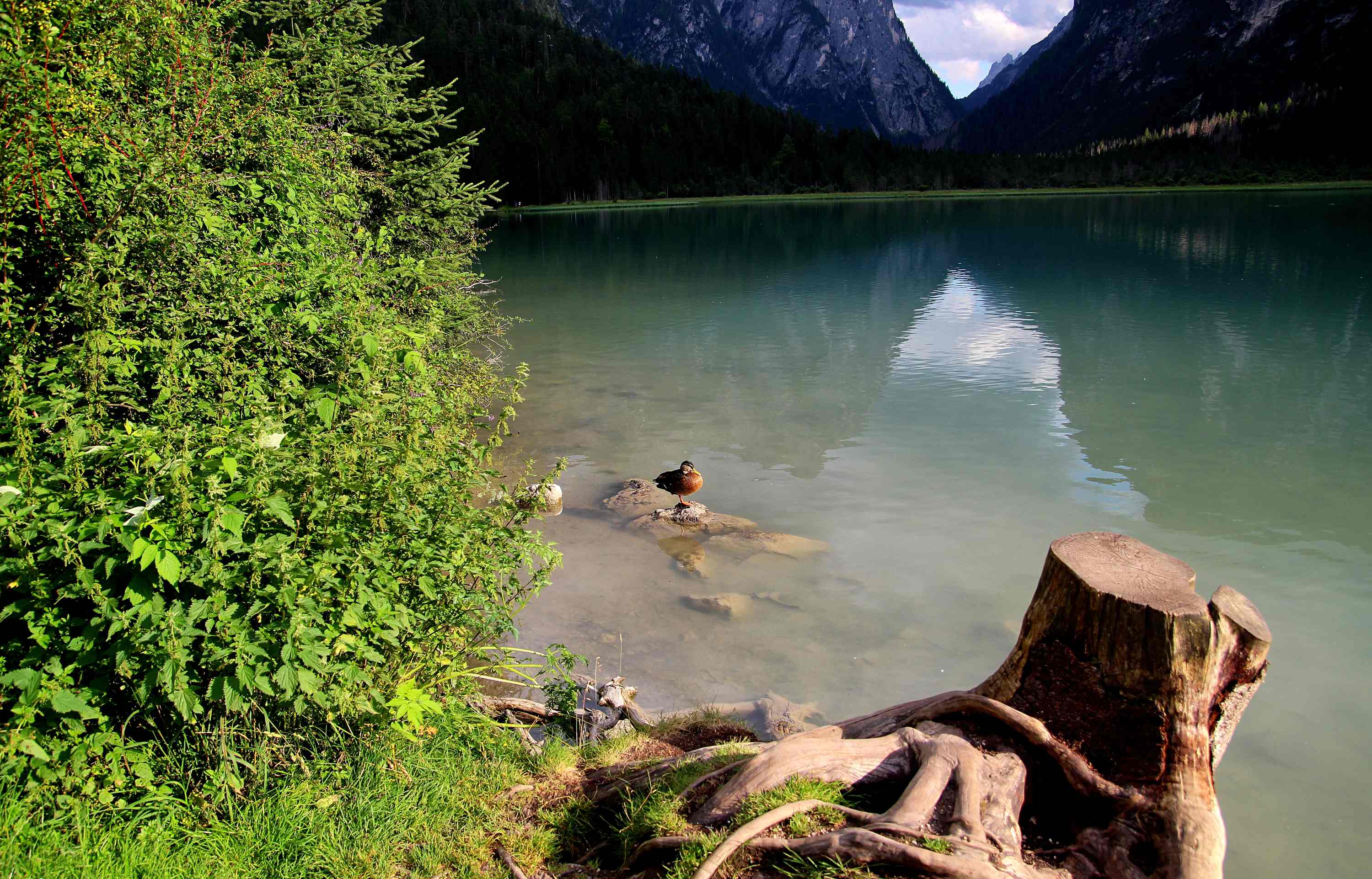 Lago di Dobiacco 2026 07 17 11
