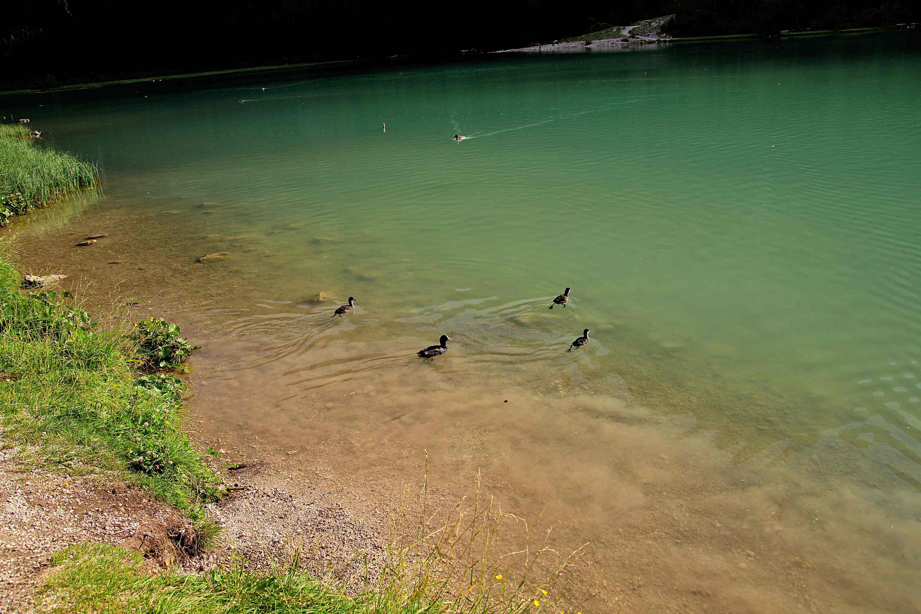 Lago di Dobiacco 2026 07 17 5