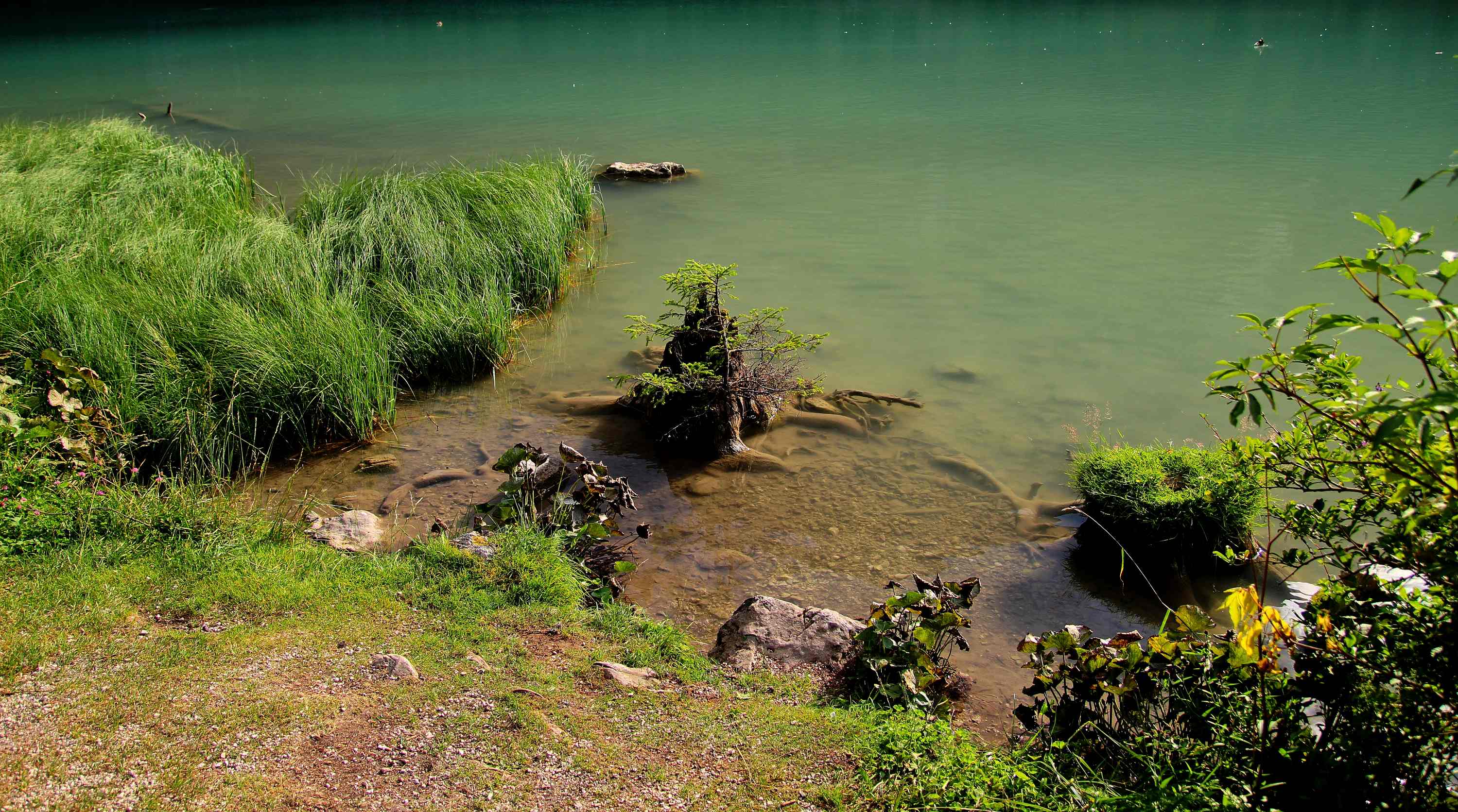 Lago di Dobiacco 2026 07 17 7