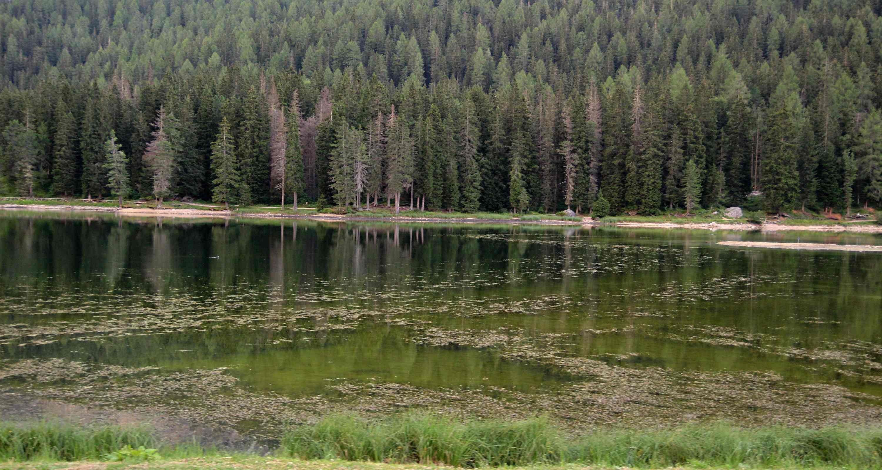 Lago di Misurina 2026 07 17 10