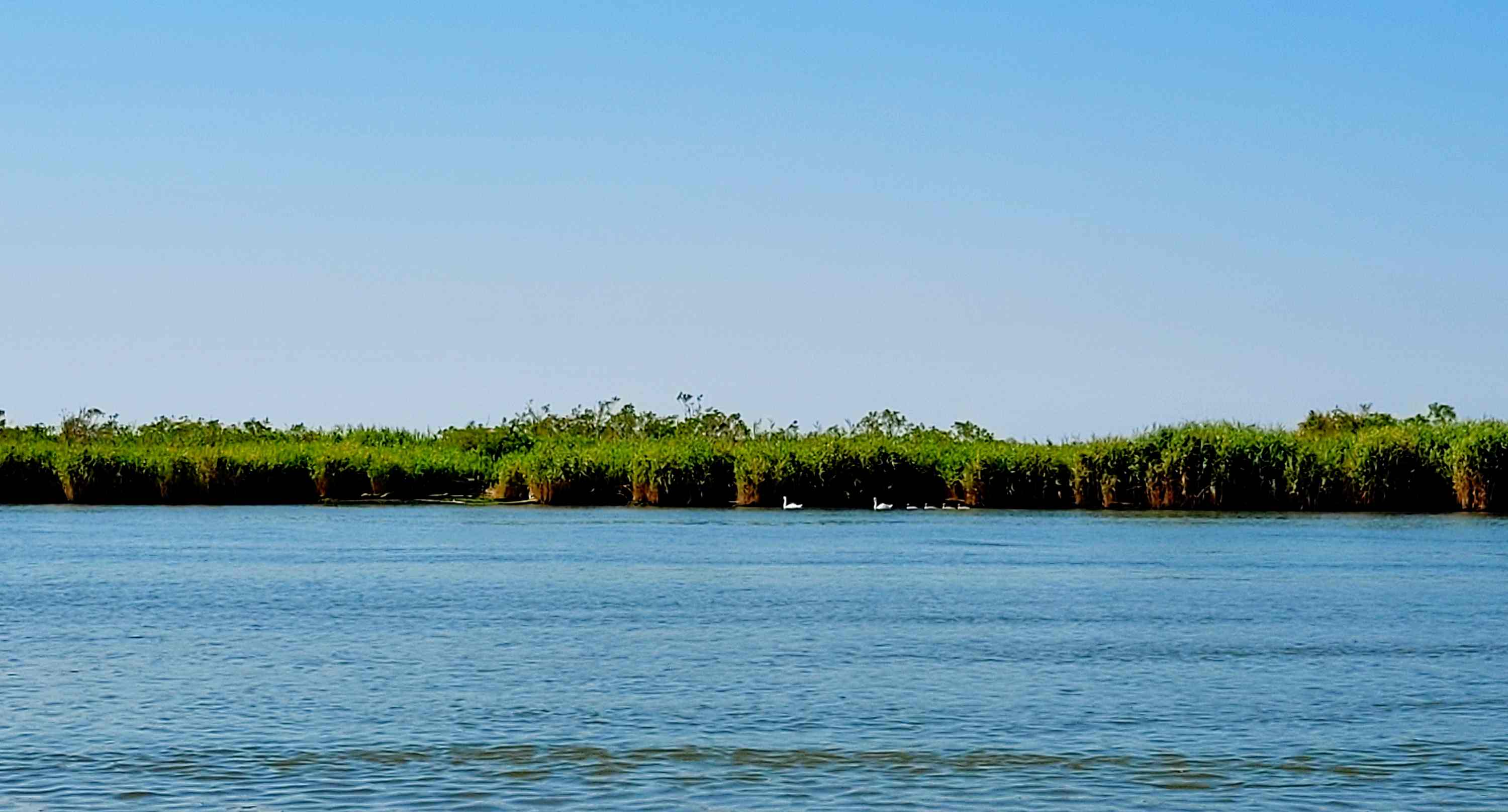 Isola dellAmore 2026 08 03 3