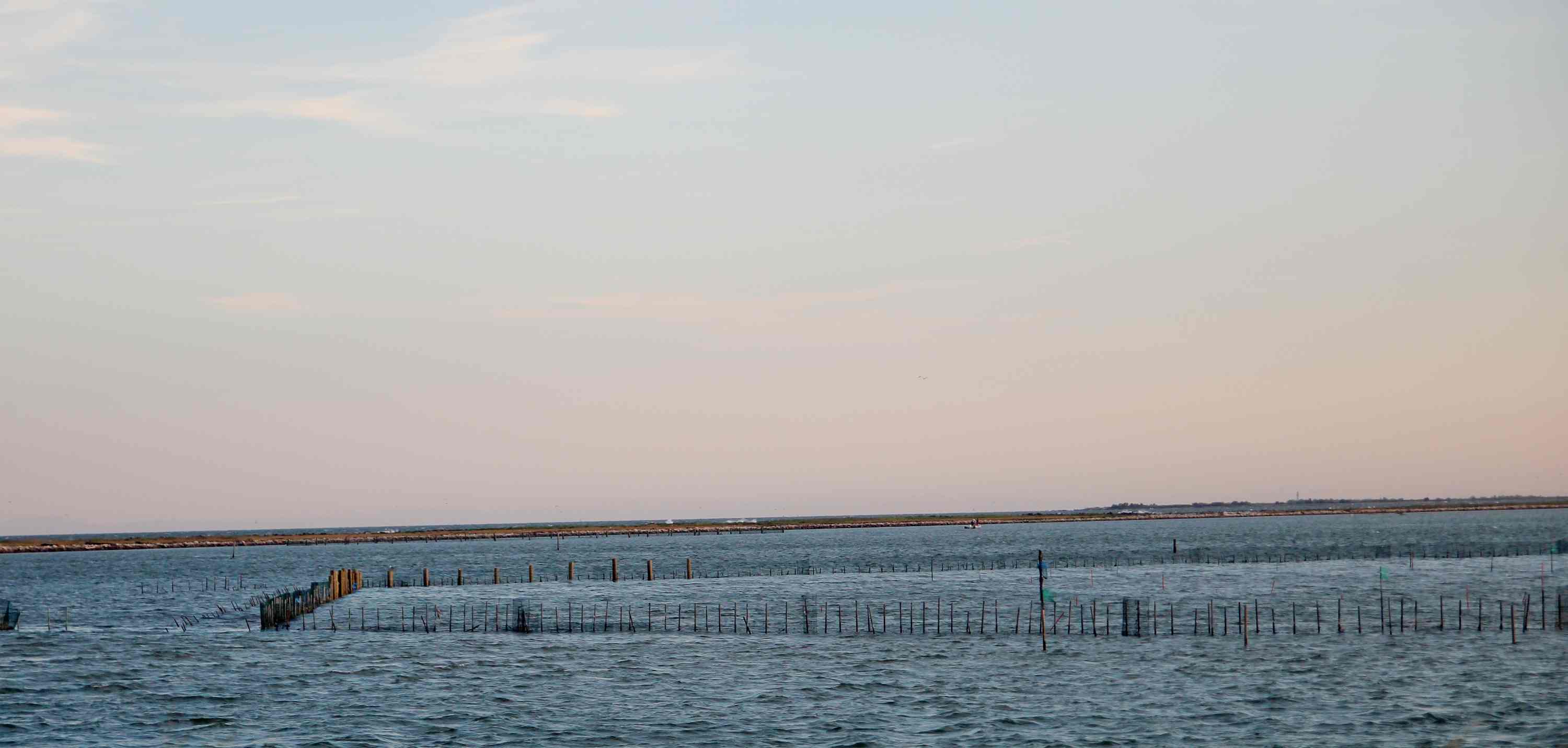 Porto Tolle 2026 06 09 1