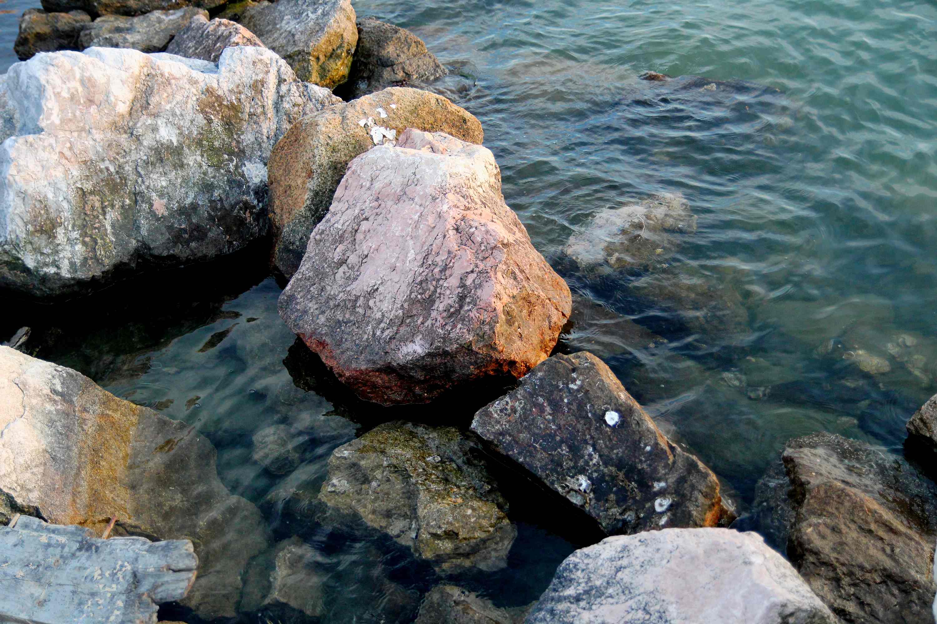 Porto Tolle 2026 06 09 12