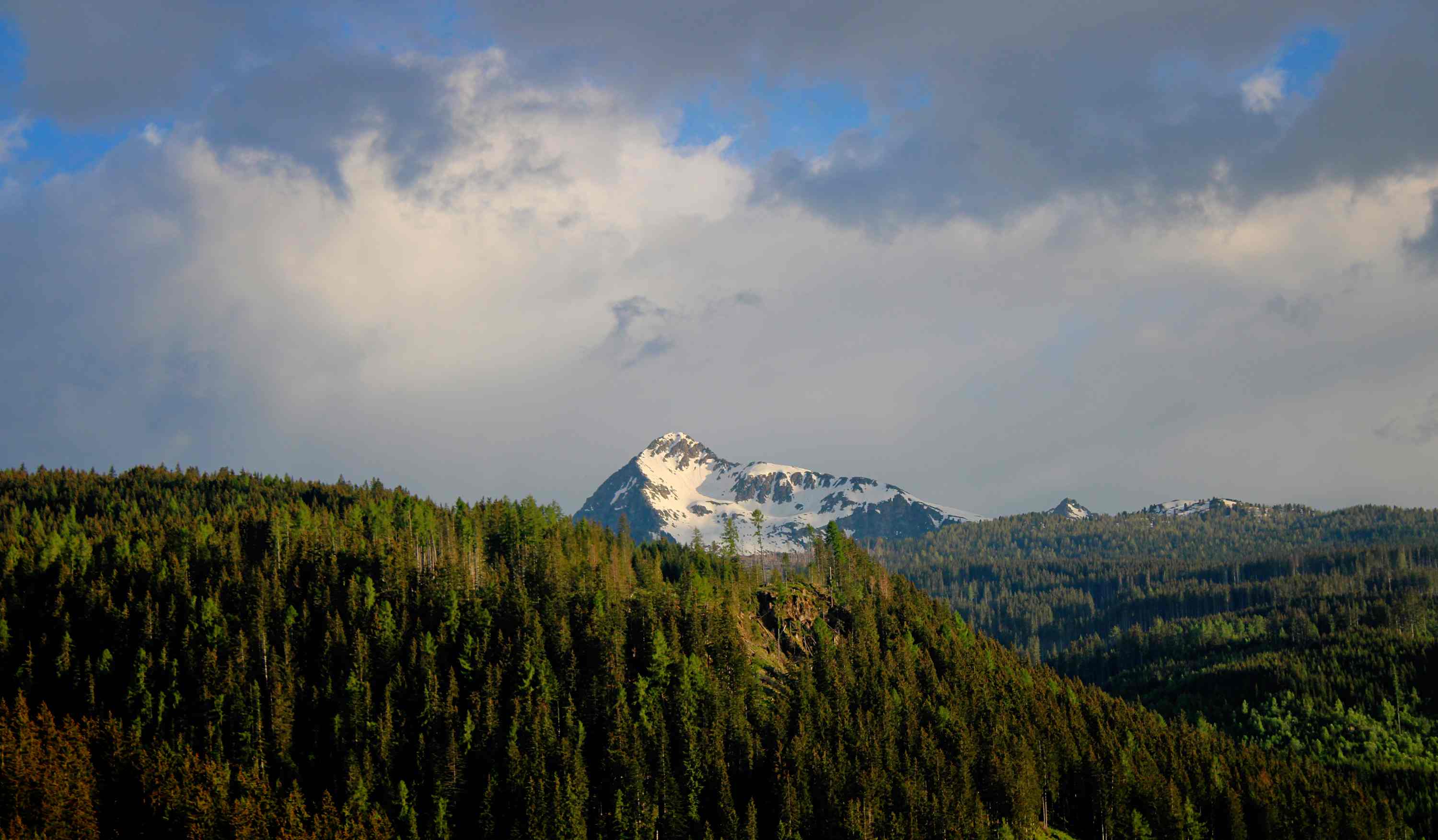 Passo Rolle 2021 05 11 1
