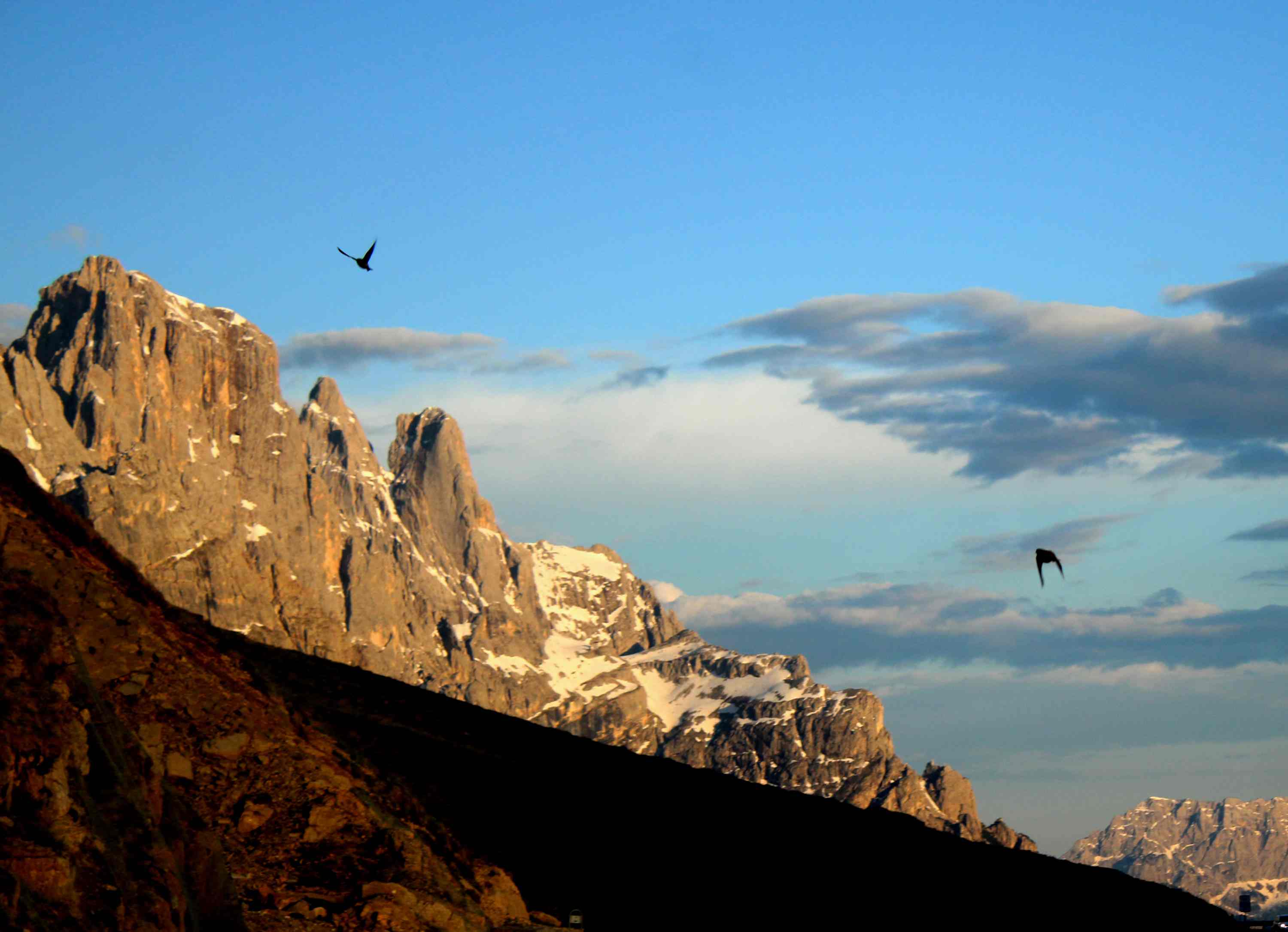 Passo Rolle 2021 05 11 16