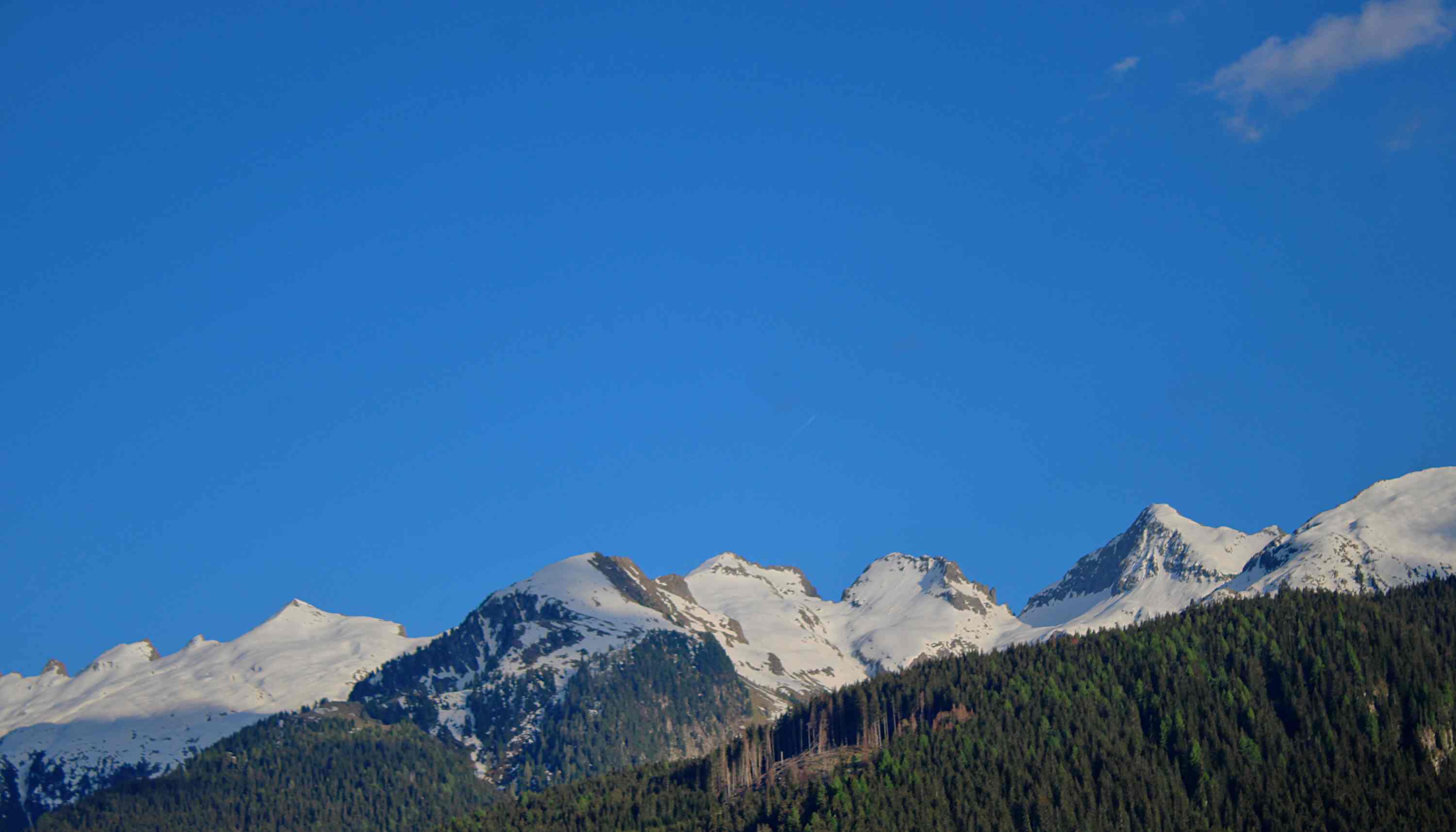 Passo Rolle 2021 05 11 3