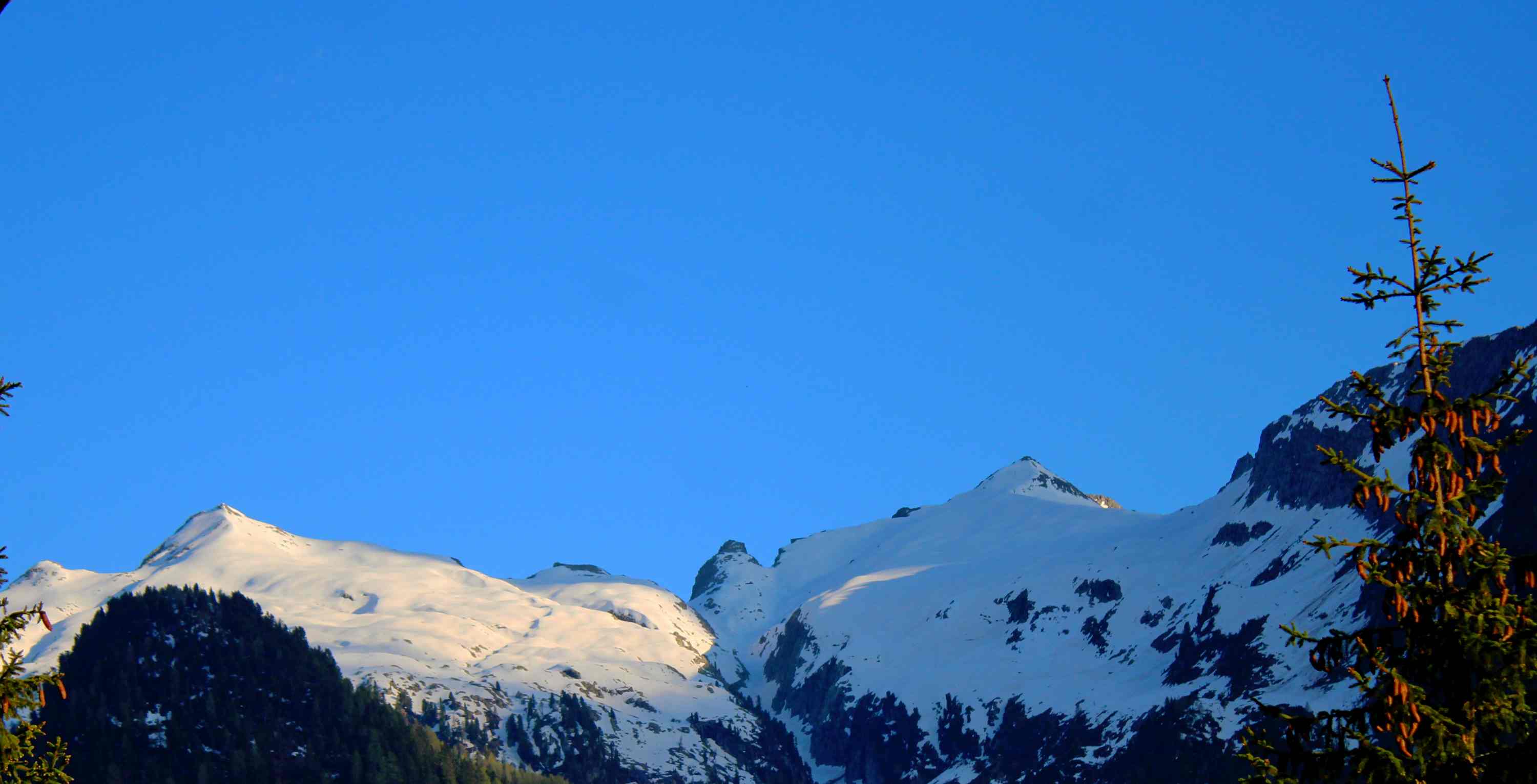 Passo Rolle 2021 05 11 6