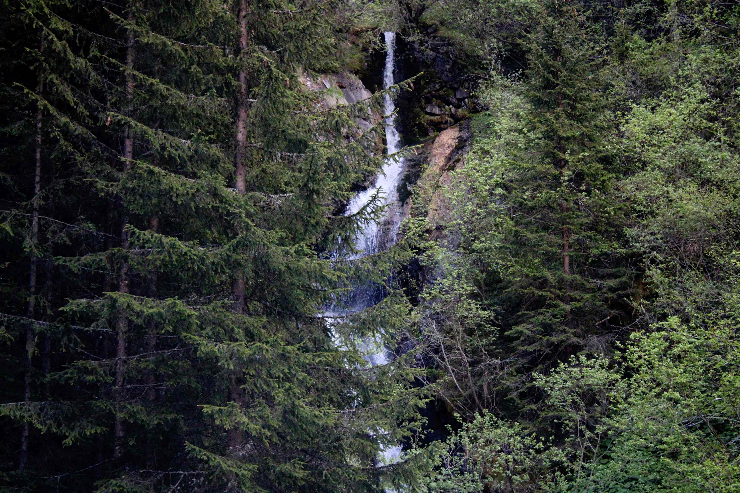Val di Fassa 2021 06 11 3
