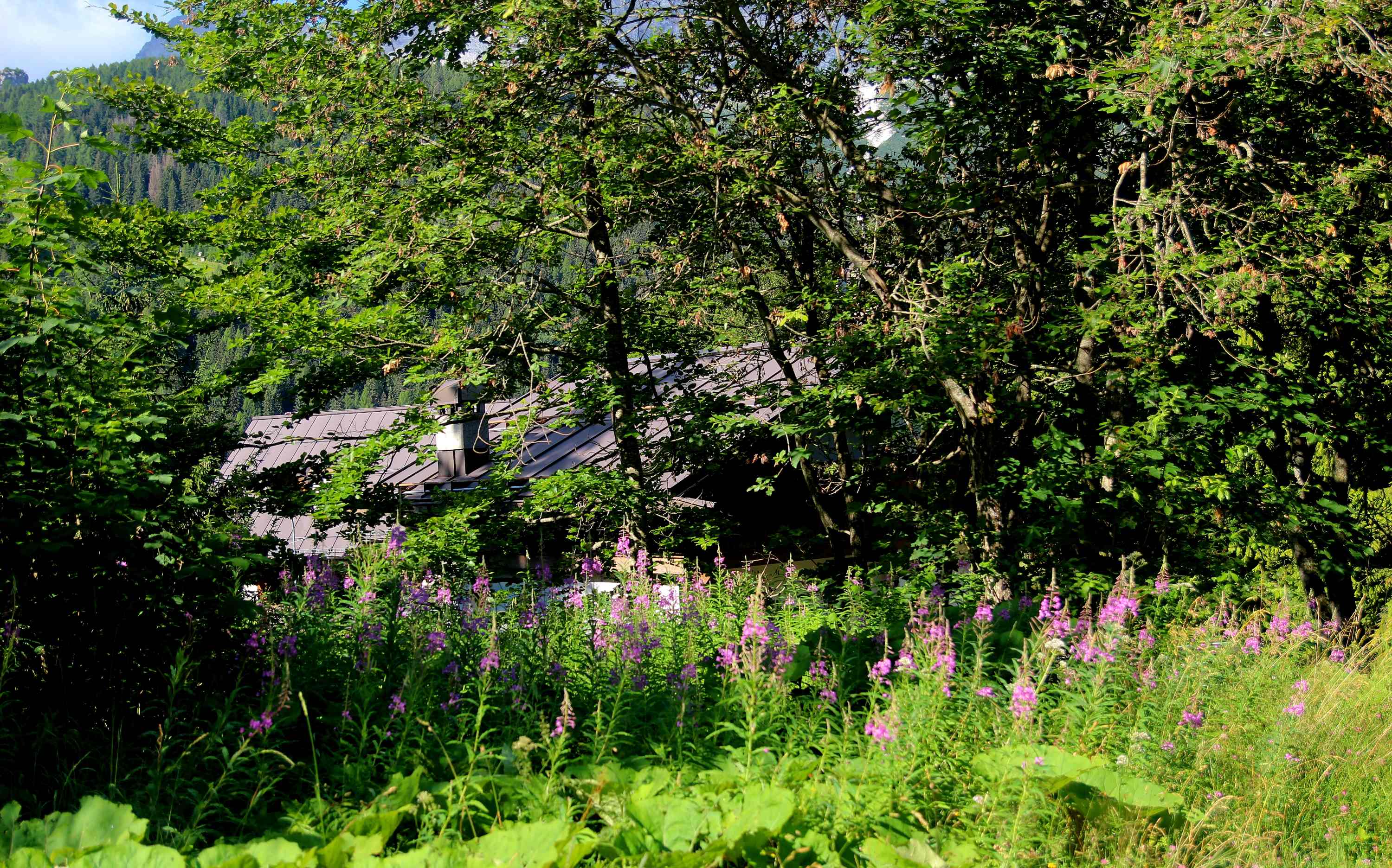 Val di Zoldo 2026 07 18 7